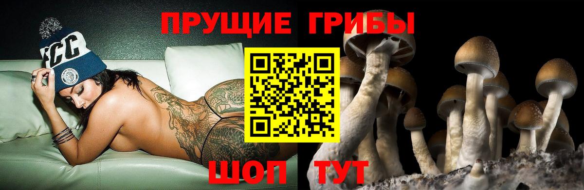Галлюциногенные грибы Psilocybe  Вход с VPN  Рузаевка 